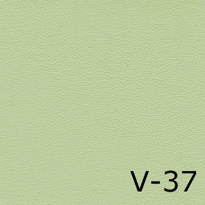 V-37