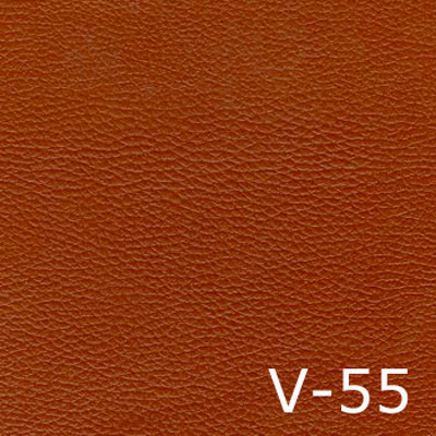 V-55